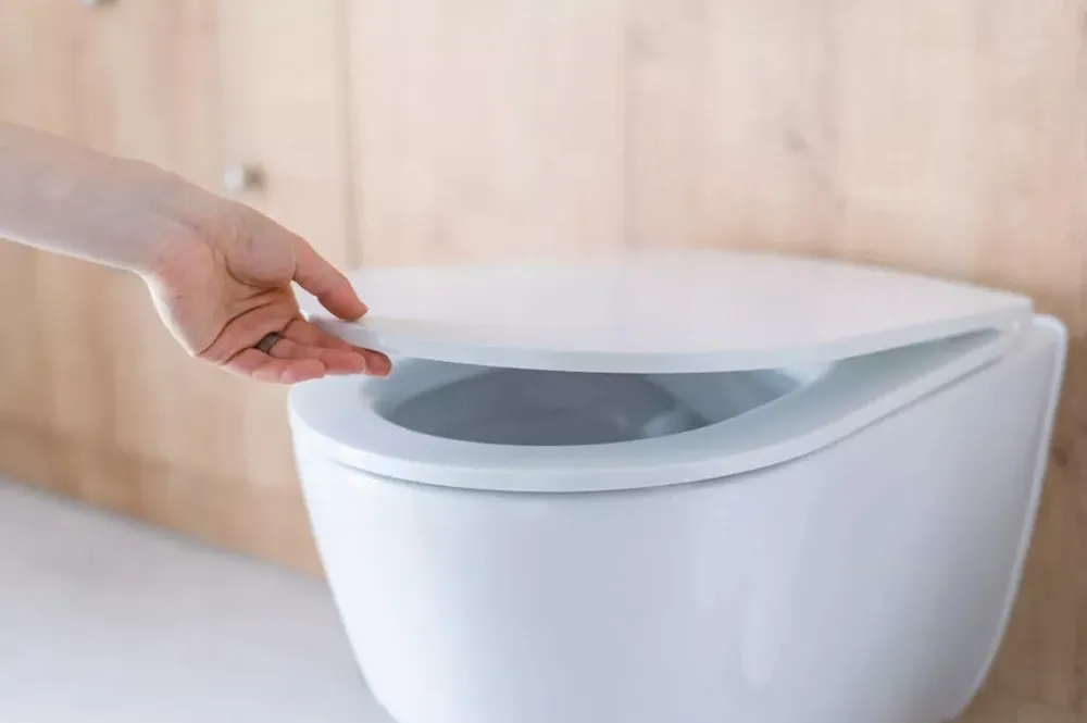 toiletbril-vervangen-klusjesman